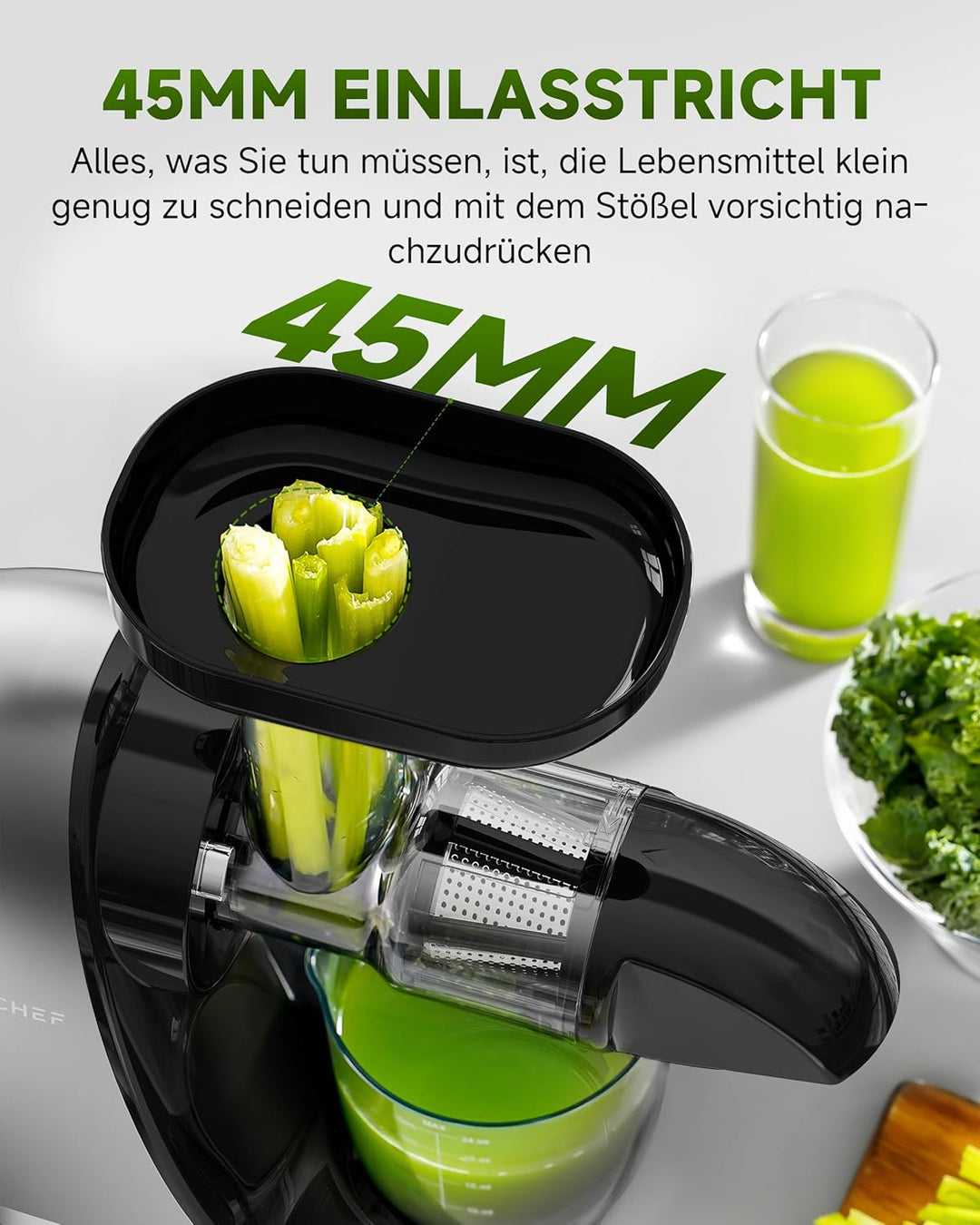 AMZCHEF Slow Juicer Entsafter Gemüse und Obst Profi Entsafter mit Ruhiger Motor & Umkehrfunktion & S