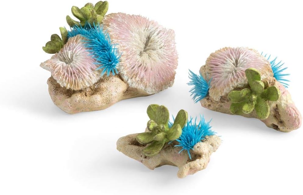 biOrb 72678 Plattenkorallen & Knopfpolypen Set – naturnahe Aquariumdeko in Form von Korallen und Pol