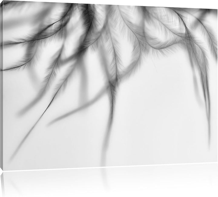 Pixxprint zarte Pinke Federn als Leinwandbild | Grösse: 100x70 cm | Wandbild | Kunstdruck | fertig b