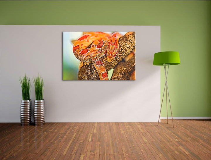 ruhende Kornnatter Deluxe Format: 100x70 cm auf Leinwand, XXL riesige Bilder fertig gerahmt mit Keil