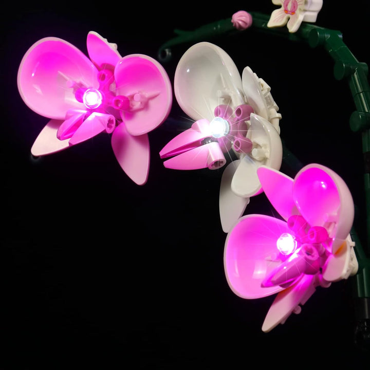 LocoLee Led Licht Set Kompatibel mit LEGO Orchidee, Led Beleuchtungs Set Compatible with LEGO 10311
