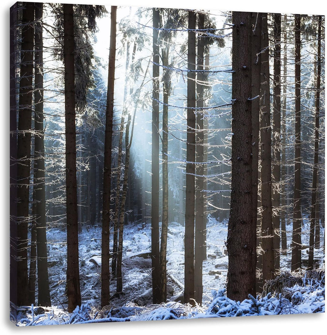Pixxprint Winterwald, Format: 70x70 auf Leinwand, XXL riesige Bilder fertig gerahmt mit Keilrahmen,