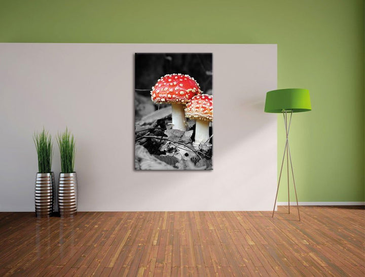 Pixxprint Zwei Kleine Fliegenpilze im Wald, Format: 70x100 auf hochkantiges Leinwand, XXL riesige Bi
