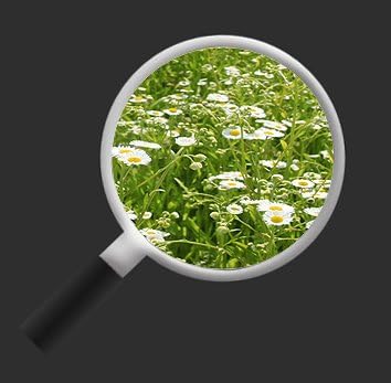 islandburner Bild Bilder auf Leinwand Blumenwiese 3p XXL Poster Leinwandbild Wandbild Art up Your Li