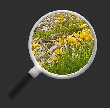 islandburner Bild Bilder auf Leinwand Bergwiese V2 Alpen Landschaft Berge Sonne 3p XXL Poster Leinwa