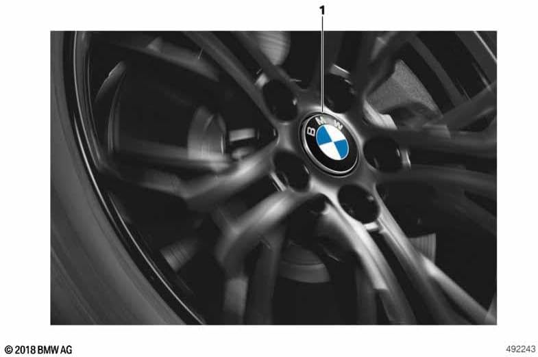 BMW Original Nabenkappe mit fester Mitte, 56 mm, für 112 mm Alu-Radkappe 36122455268