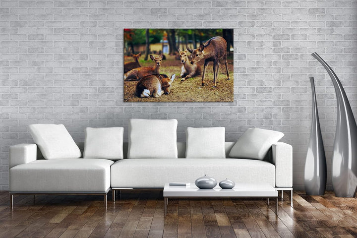 deyoli süsse Rehe im Wildgehege Format: 80x60 als Leinwand, Motiv fertig gerahmt auf Echtholzrahmen,