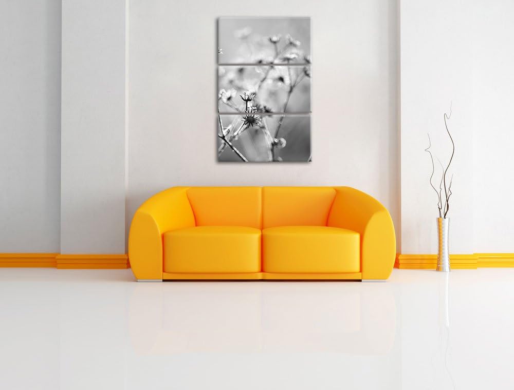 Gefrorene Blumen schwarz/weiss 3-Teiler Leinwandbild 120x80 Bild auf Leinwand, XXL riesige Bilder fe