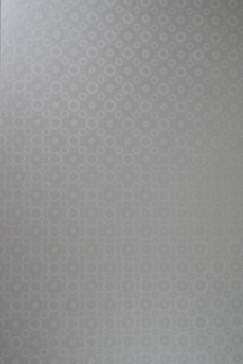 Netuno 100x Bastelkarton Perlmutt-Silber DIN A4 210x 297 mm 250g Aster Metallic Silver Disco Pearlka