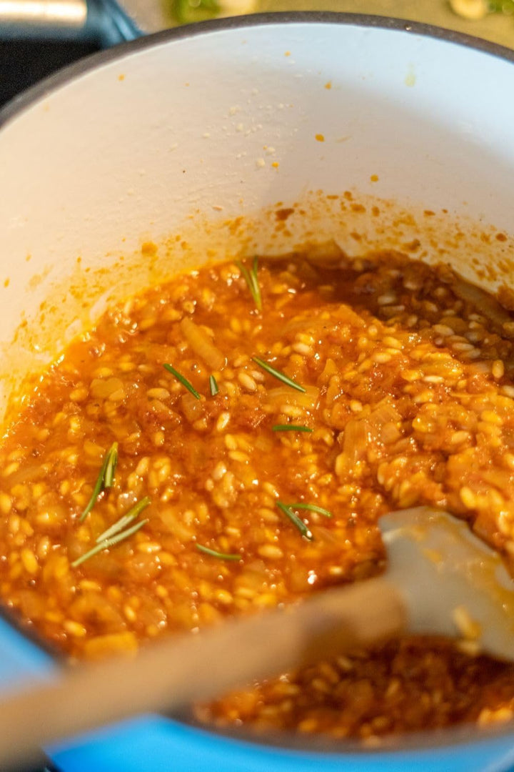 BBQ-Toro Cocotte | 4,0 Liter, Ø 24 cm | Emaillierter Gusseisen Bräter mit Deckel | induktionsgeeigne