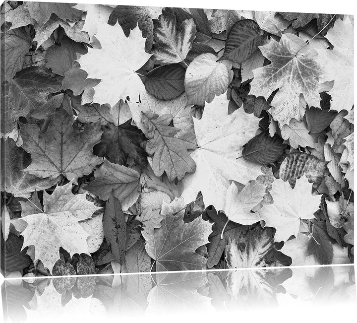 Herbstblätter Kunst B&W, Format: 100x70 auf Leinwand, XXL riesige Bilder fertig gerahmt mit Keilrahm