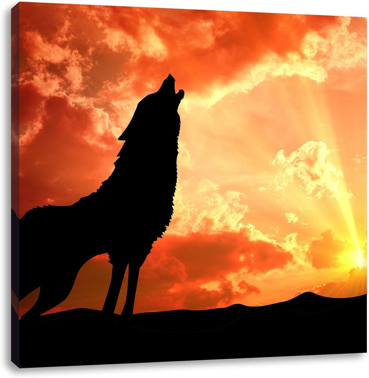 Pixxprint Wolf Heulen als Leinwandbild/Grösse: 70x70 cm/Wandbild/Kunstdruck/fertig bespannt, 70x70