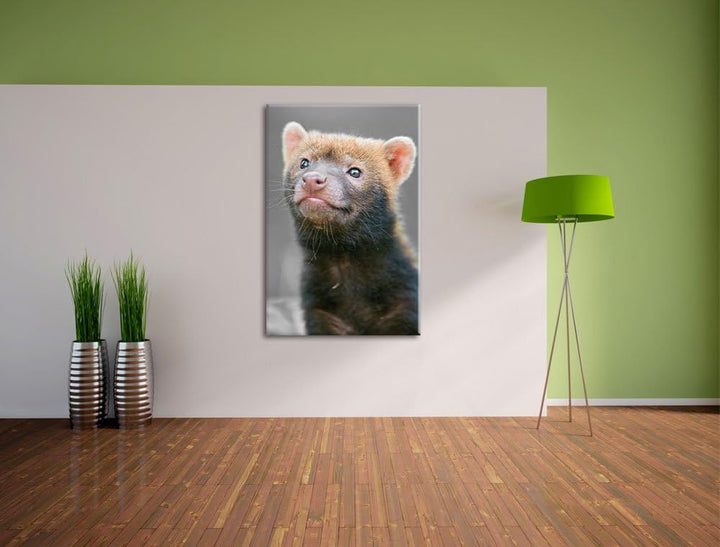 freches kleines Frettchen schwarz/weiss auf Leinwand, XXL riesige Bilder fertig gerahmt mit Keilrahm