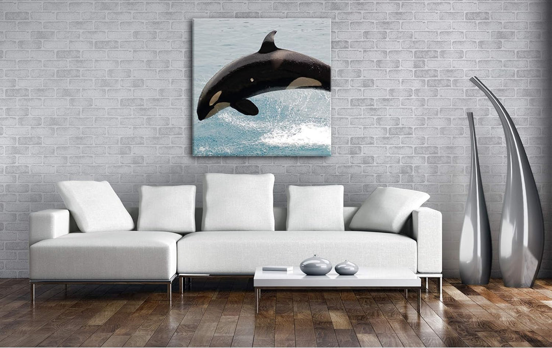 deyoli verspielter Orca Format: 70x70 als Leinwandbild, Motiv fertig gerahmt auf Echtholzrahmen, Hoc