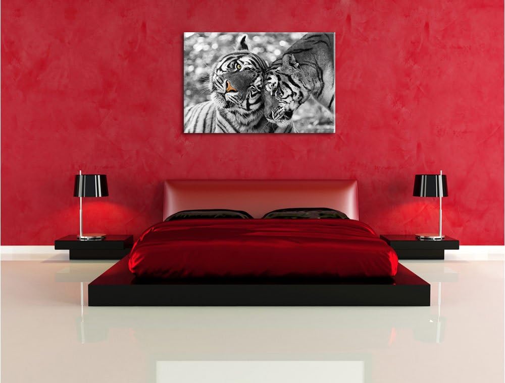 Pixxprint Zwei liebkosende Tiger B&W Detail, Format: 100x70 auf Leinwand, 100x70
