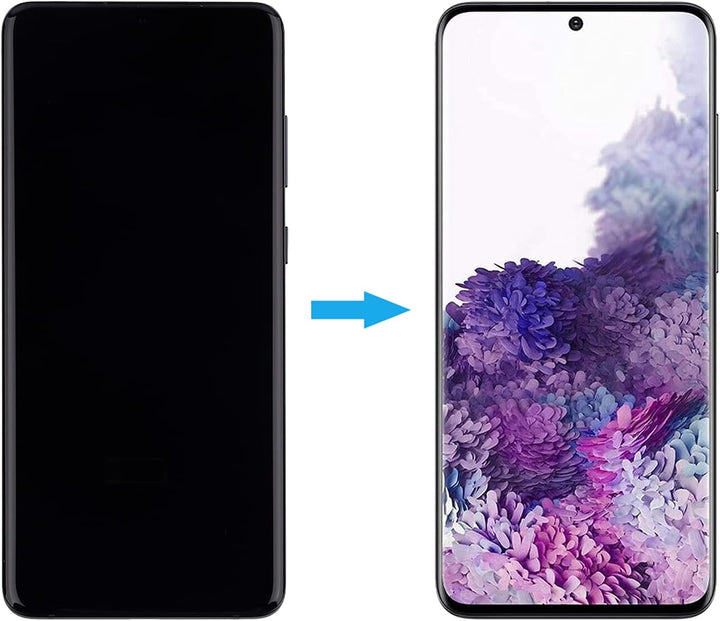 Duotipa Super Amoled Display Kompatibel mit Samsung Galaxy S20+ S20 Plus SM-G985 SM-G985F 6.5" inch