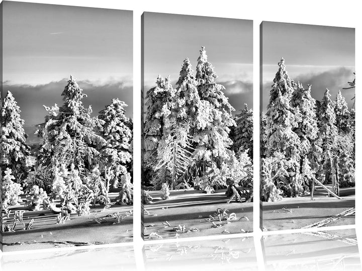 Pixxprint Winterwald als Leinwandbild/Grösse: 3 Teilig (120x80) / Wandbild/Kunstdruck/fertig bespann