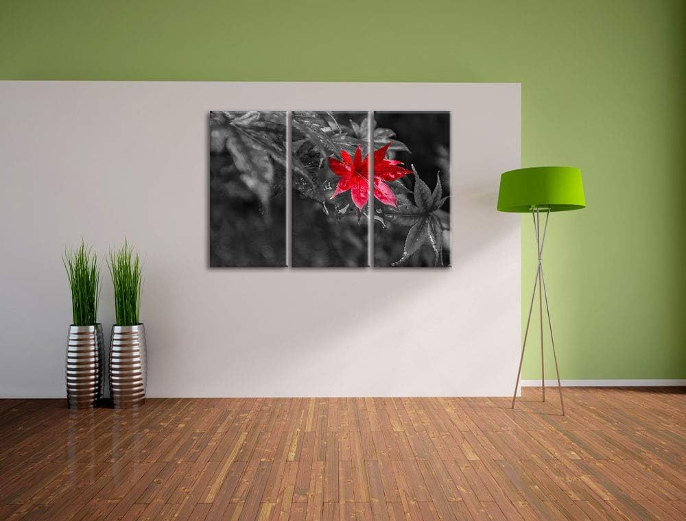 Herbstliches rotes Ahornblatt schwarz/weiss 3-Teiler Leinwandbild 120x80 Bild auf Leinwand, XXL ries