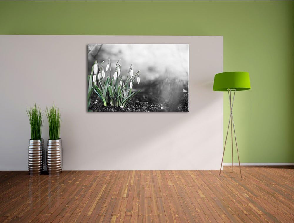 Frühlings Schneeglöckchen schwarz/weiss Format: 100x70 auf Leinwand, XXL riesige Bilder fertig gerah