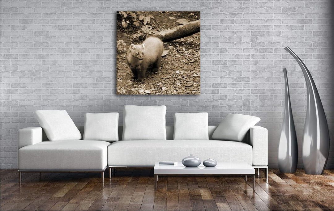 deyoli süsser Marder Format: 60x60 Effekt: Sepia als Leinwandbild, Motiv fertig gerahmt auf Echtholz
