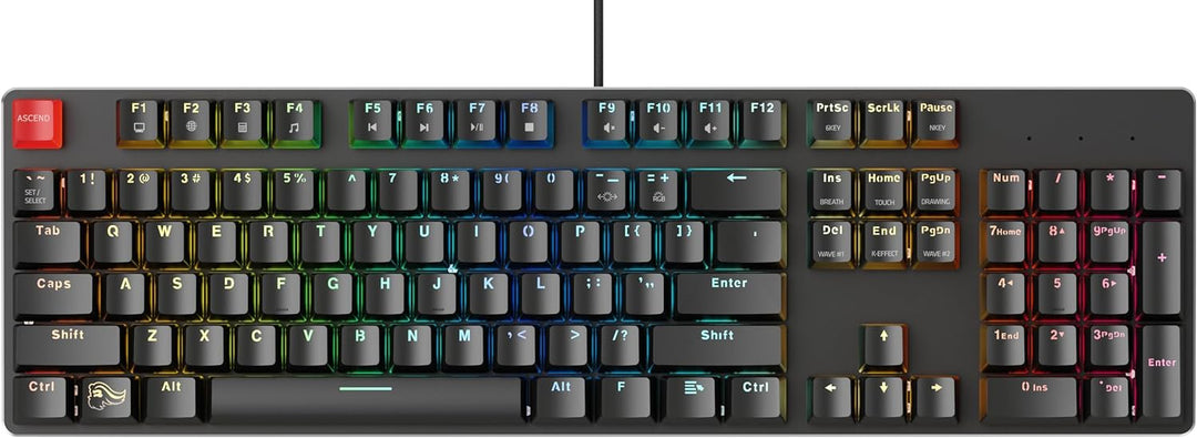 Glorious Gaming GMMK Full Size (100%) – Mechanisches Gaming-Keyboard, Gateron Brown Schalter (taktil