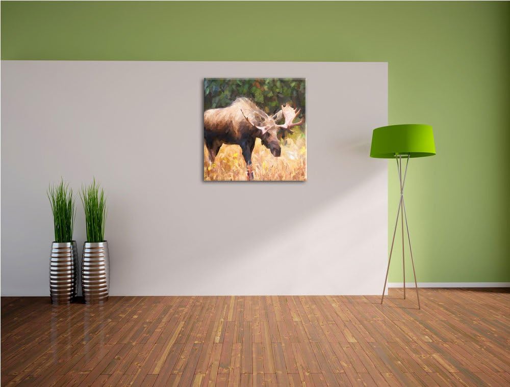 prächtiger Elch auf Wiese, Format: 70x70 auf Leinwand, XXL riesige Bilder fertig gerahmt mit Keilrah