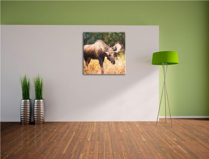 prächtiger Elch auf Wiese, Format: 70x70 auf Leinwand, XXL riesige Bilder fertig gerahmt mit Keilrah