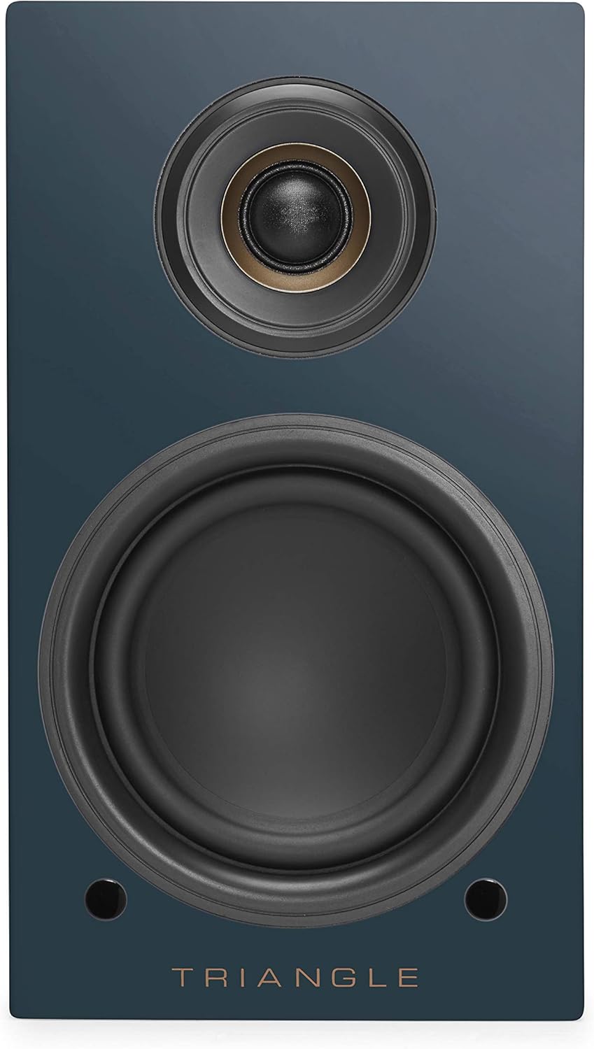 Active Speakers LN01A - Bluetooth Regallautsprecher mit 2 x 50W Verstärker - HD Audio - Phono/Optica