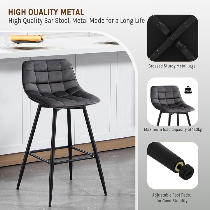WOLTU Barhocker BH143dgr-2 2er Set Designer Barstuhl Hocker Tresenhocker Bistrohocker mit Fussstütze
