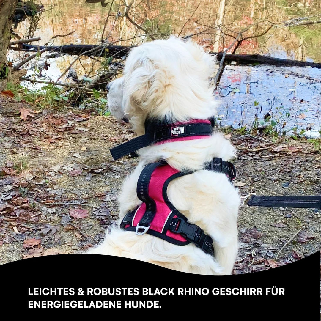 Black Rhino Hundegeschirr mit Netz gepolsterter Weste für kleine bis grosse Rassen, Verstellbar, Ref