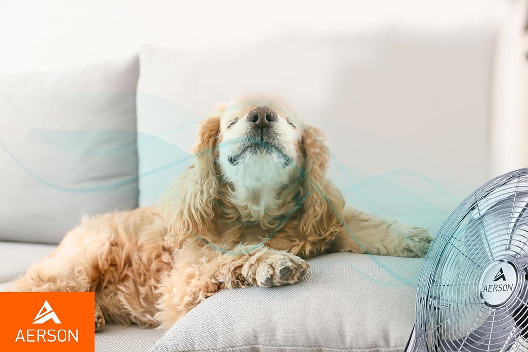 TRESKO AERSON Bodenventilator 30cm | Windmaschine mit 3-Leistungsstufen 55W | Standventilator Ventil