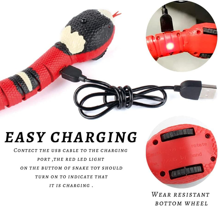 Spielzeugschlange Katze, XiXiRan Schlangenspielzeug Elektrisches, Katzenspielzeug Schlange Usb, Schl