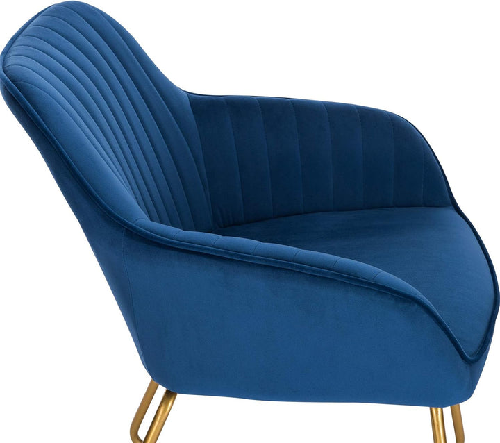 WOLTU Esszimmerstühle BH246bl-1 1x Küchenstuhl Polsterstuhl Wohnzimmerstuhl Sessel mit Armlehne, Sit