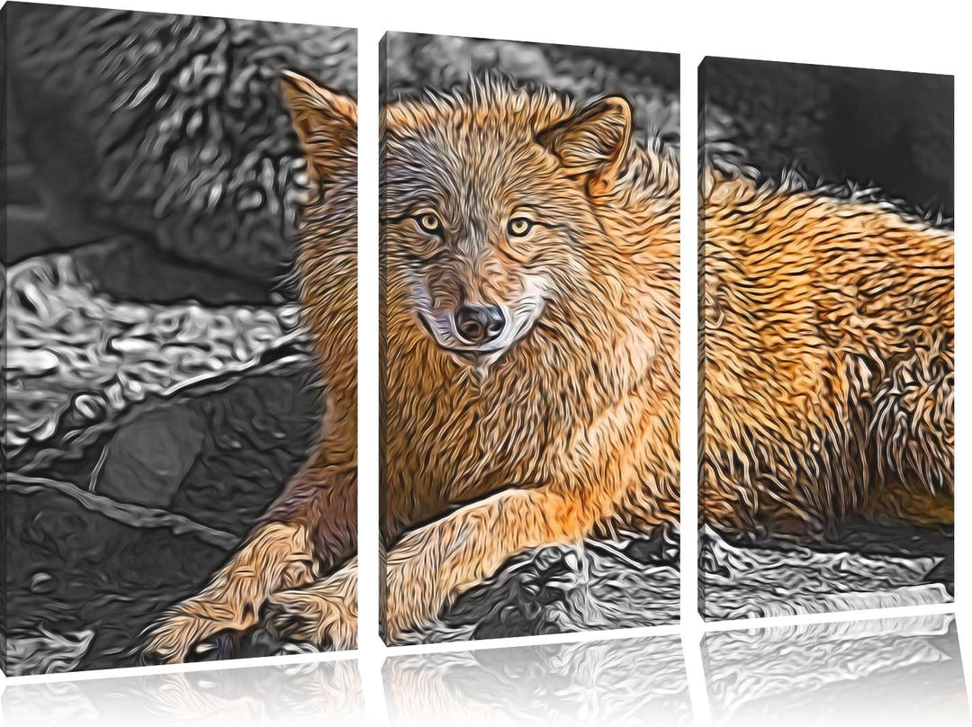 aufschauender maiestätischer Wolf schwarz/weiss Deluxe 3-Teiler Leinwandbild 120x80 Bild auf Leinwan
