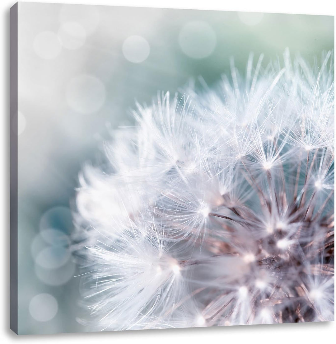 Pixxprint Zauberhafte Pusteblume als Leinwandbild/Grösse: 70x70 cm/Wandbild/Kunstdruck/fertig bespan