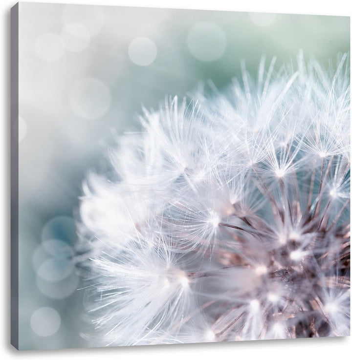 Pixxprint Zauberhafte Pusteblume als Leinwandbild/Grösse: 70x70 cm/Wandbild/Kunstdruck/fertig bespan