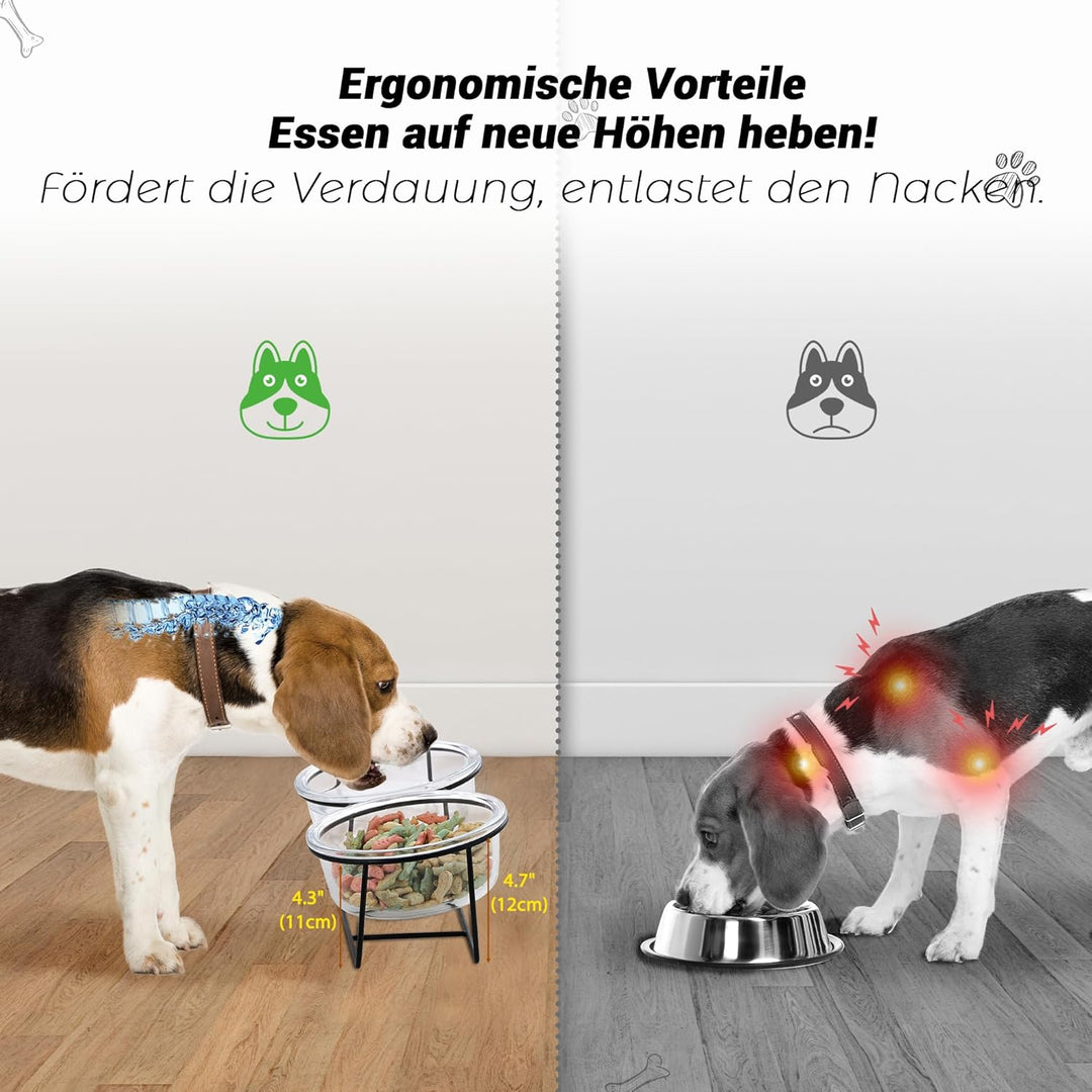 Hundenapf Katzennapf - Futternapf Hund Katze - Futterstation Hund Katzen Erhöht mit Ständer - Doppel