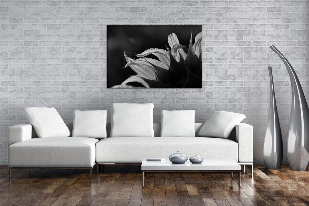 deyoli regnerische Sonnenblume Format: 80x60 als Leinwand, Effekt: Schwarz&Weiss, Motiv fertig gerah