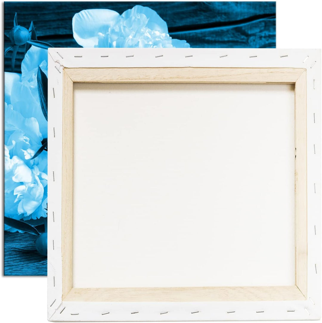 deyoli Pfingstrosen und eine Schalle mit Beeren Format: 70x70 Effekt: Monocrome Blau als Leinwandbil
