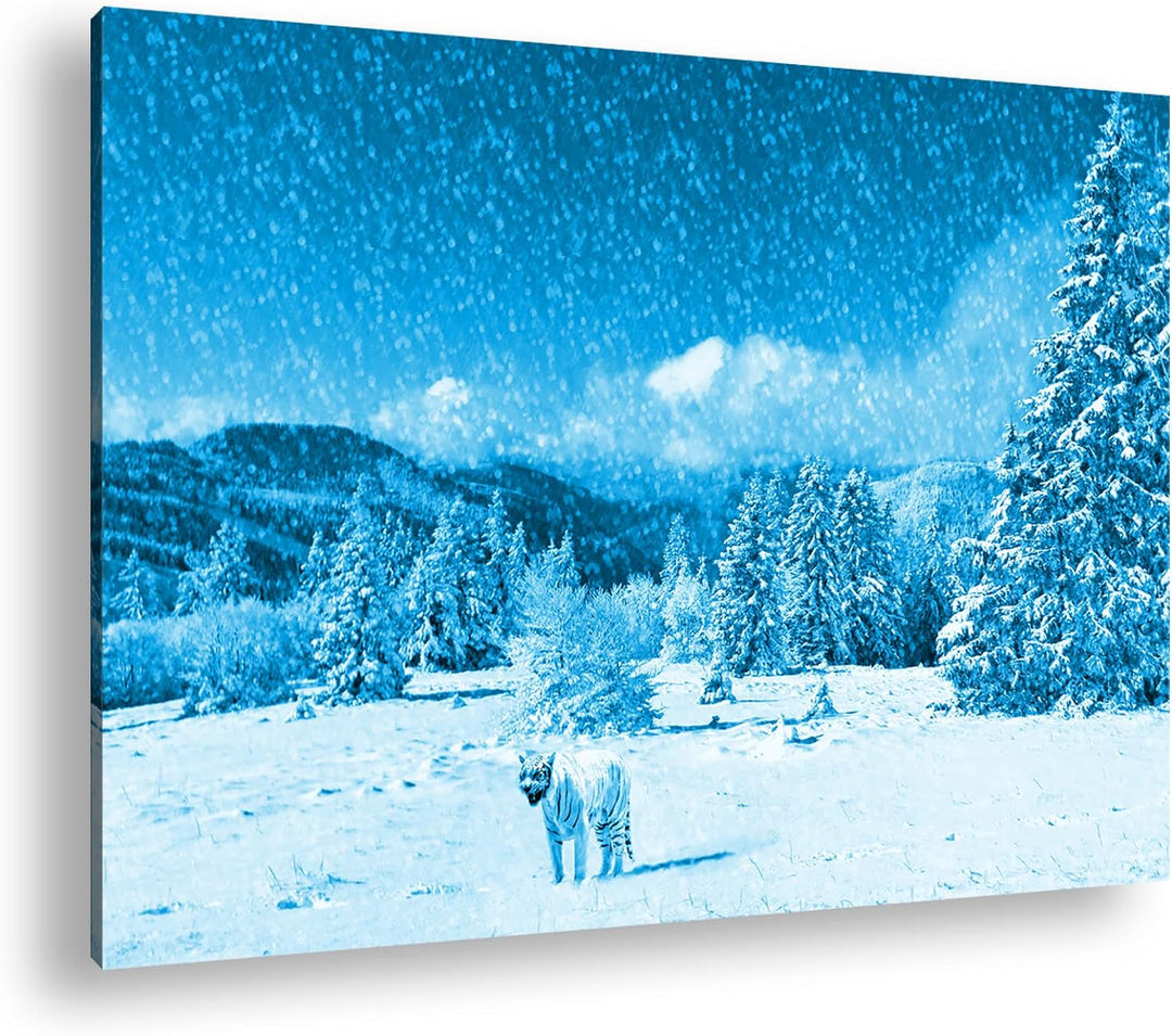 deyoli Tiger im Schneesturm Format 80x60 Effekt: Monocrome Blau als Leinwandbild, Motiv fertig gerah