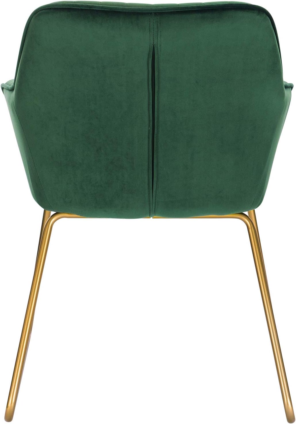 WOLTU Esszimmerstühle 2er Set Küchenstühle Wohnzimmerstühle Polsterstühle Sessel, Armlehnstühle mit