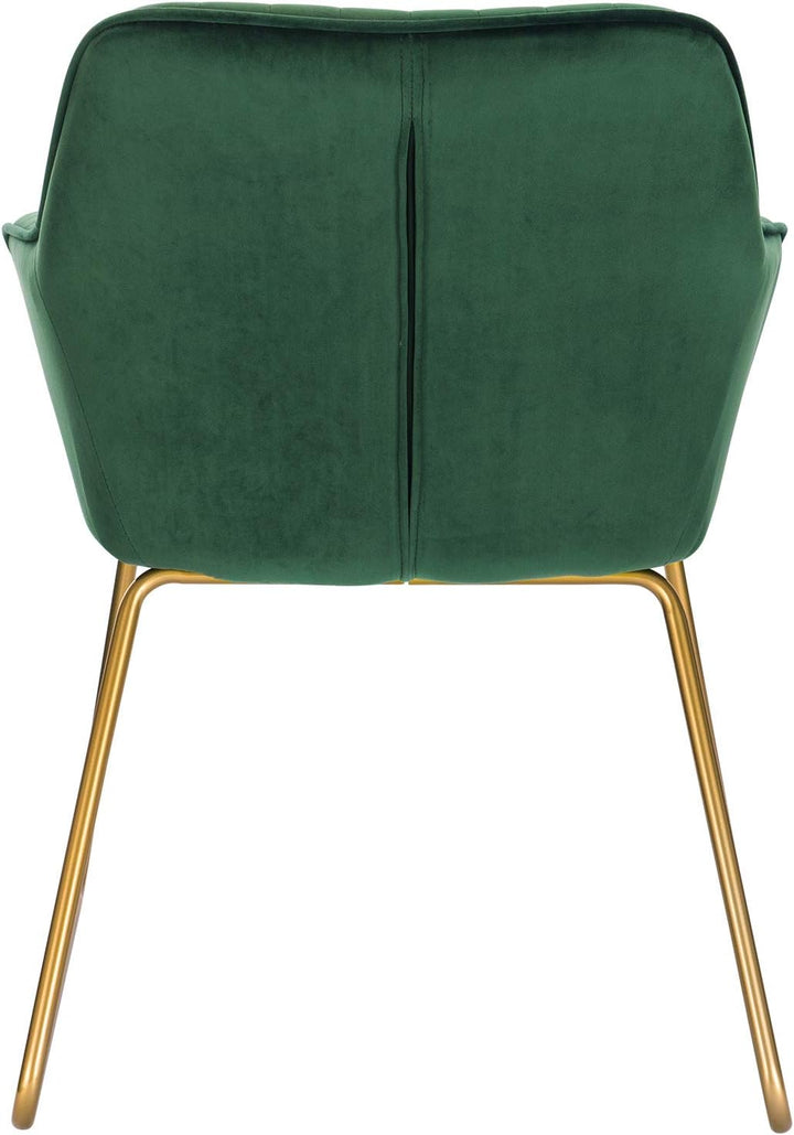 WOLTU Esszimmerstühle 2er Set Küchenstühle Wohnzimmerstühle Polsterstühle Sessel, Armlehnstühle mit