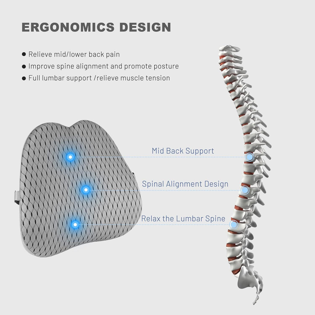 Livtribe Rückenkissen,Memory Foam Lendenkissen Auto,Ergonomisches Lendenwirbelstützkissen für Bürost