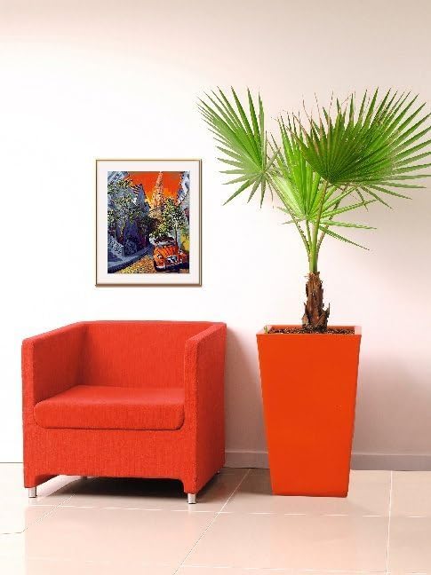 Schipper 609130820 Malen nach Zahlen - Little Red Citroen by Miguel Freitas - Bilder malen für Erwac