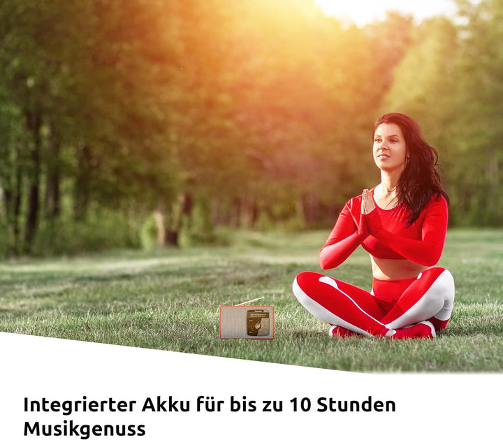 TechniSat DIGITRADIO 2 - Tragbares DAB+/UKW-Radio mit Akku (mit Bluetooth Audiostreaming, Weckfunkti
