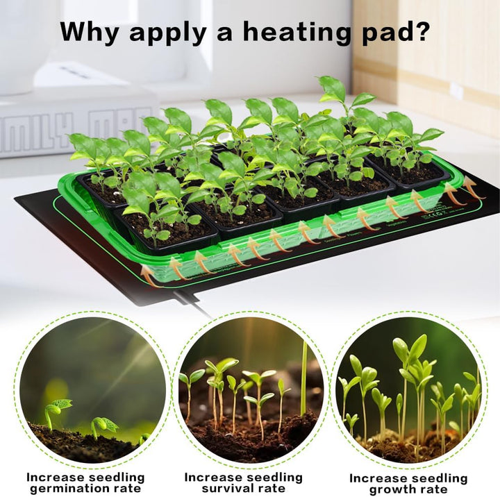CJBIN Heizmatte Pflanzen mit Thermostat, 50W Zimmergewächshaus Wärmematte für Sämling Germination, P