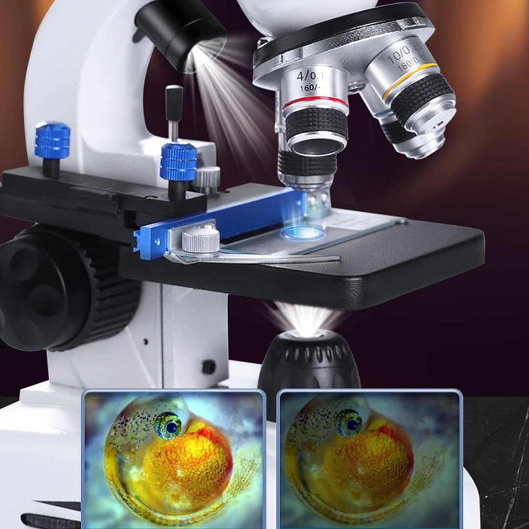 Binokulares Mikroskop, 40- Bis 5000-fache Vergrösserung, Professionelles Mikroskop mit Feinfokusknöp