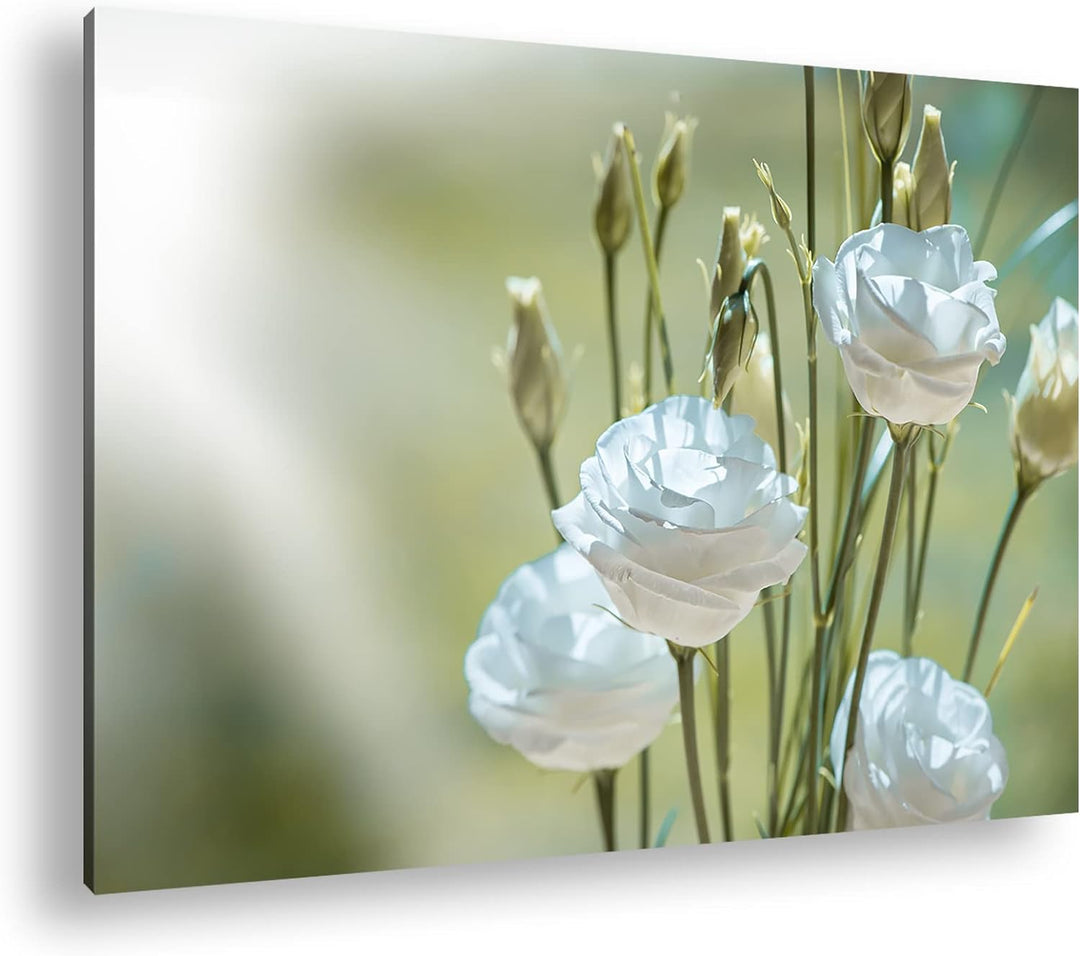 deyoli weisser Blumenstrauss Format: 80x60 als Leinwandbild, Motiv fertig gerahmt auf Echtholzrahmen