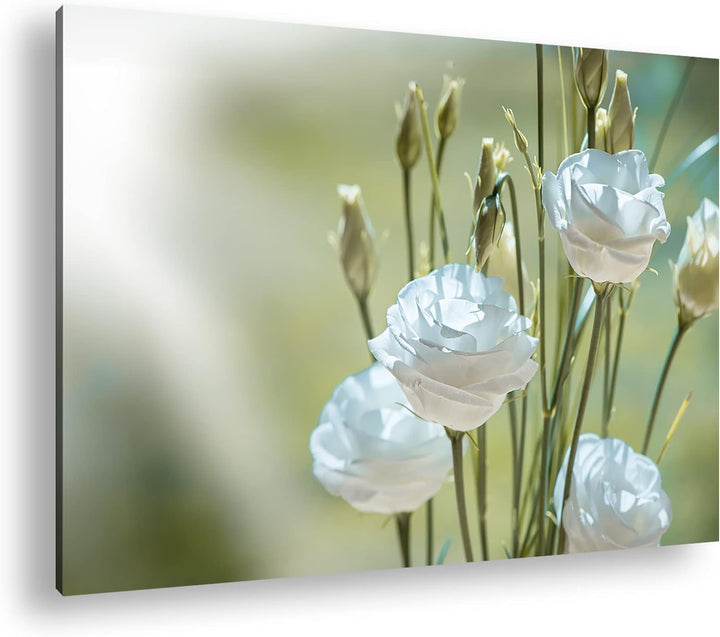 deyoli weisser Blumenstrauss Format: 80x60 als Leinwandbild, Motiv fertig gerahmt auf Echtholzrahmen