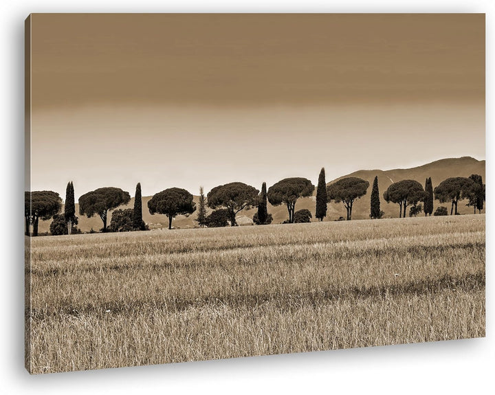 deyoli Toskana Landschaft mit Zypressen und Pinien Format: 100x70 Effekt: Sepia als Leinwandbild, Mo